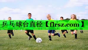 <strong>乒乓球台直径</strong>