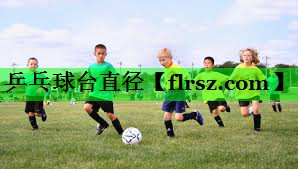 乒乓球台直径
