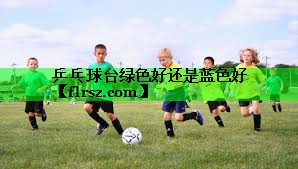 乒乓球台绿色好还是蓝色好
